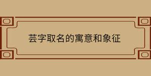 芸 名字 意思|芸字取名的寓意